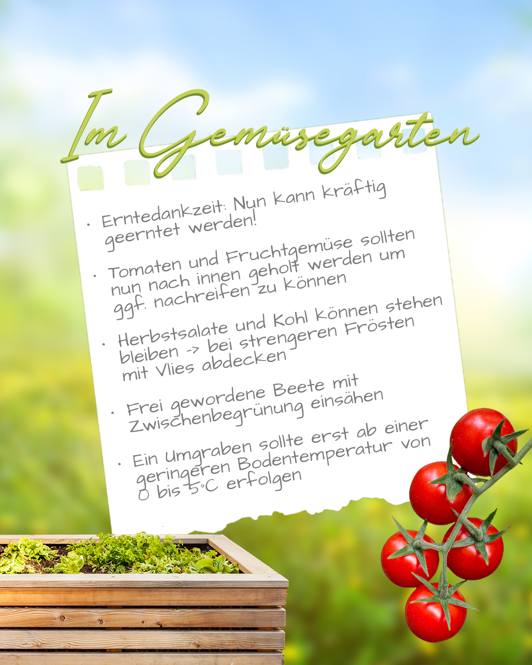 GemuesegartenOkt
