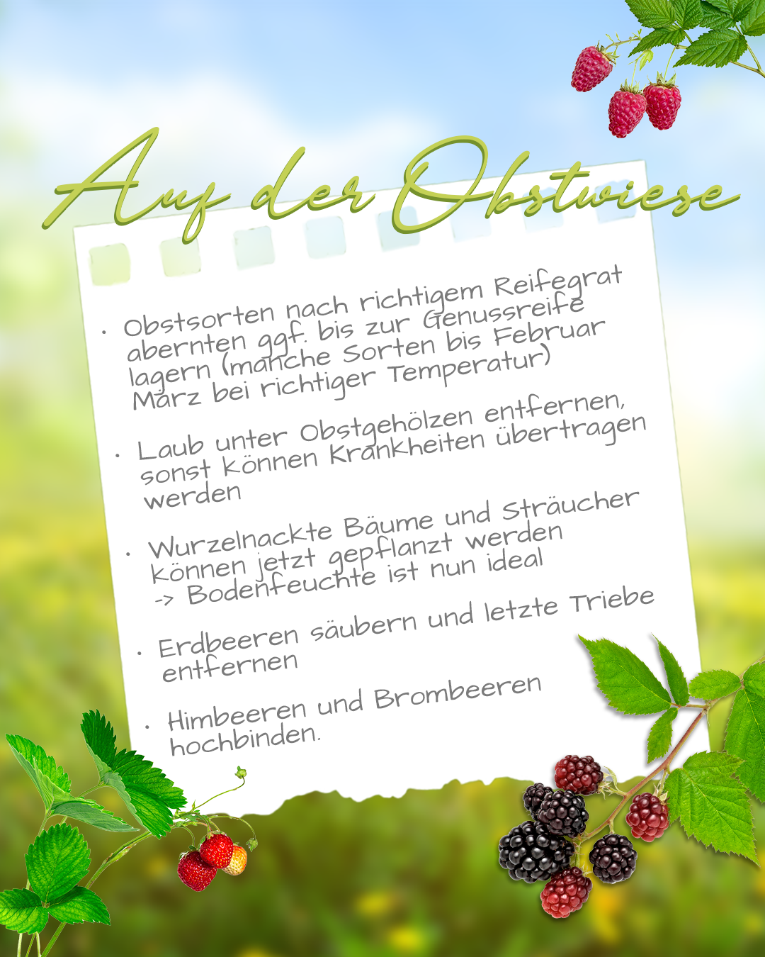 ObstwieseOkt