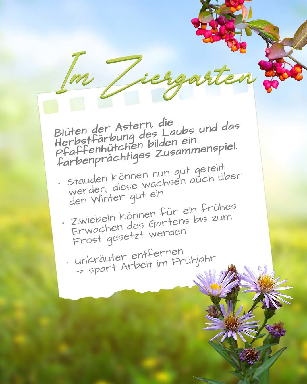 ZiergartenOkt