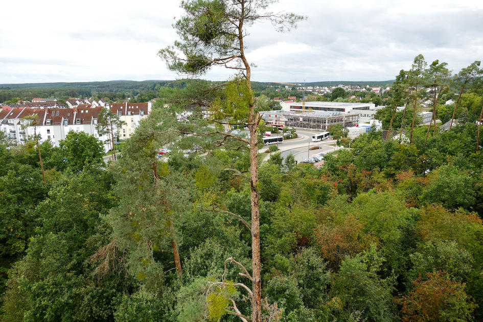 240927_BaeumeSchulzentrum-1