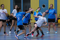 Vereinspauschale2025_Handball